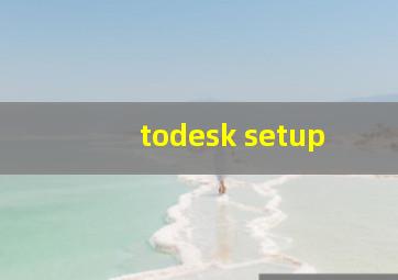 todesk setup